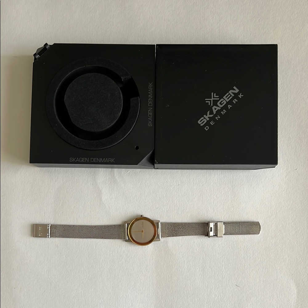 Skagen Gold-Tone Case with Silver Mesh Band Watch